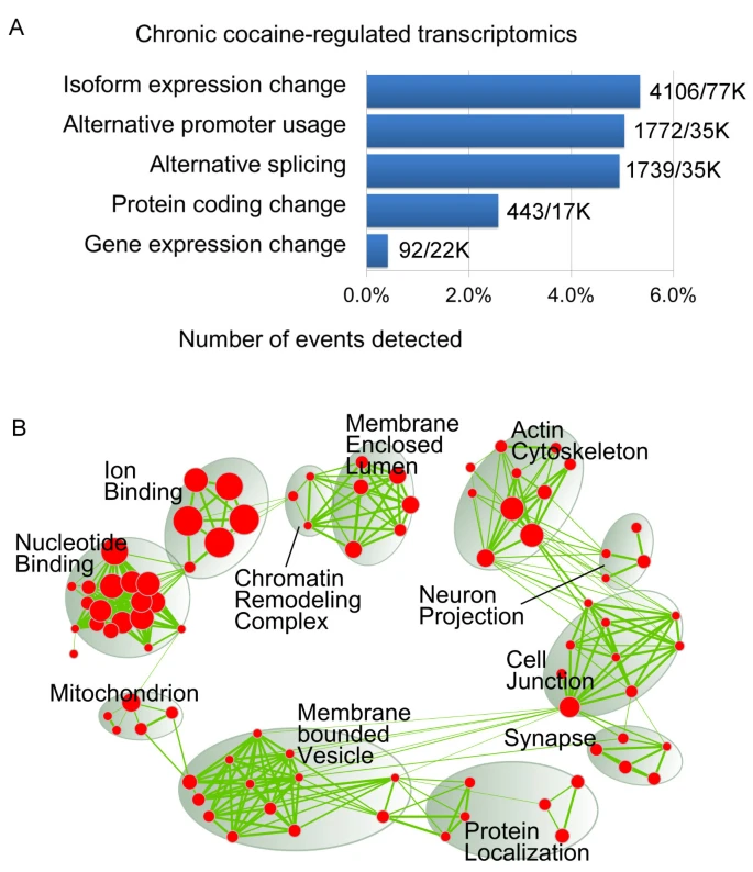 Chronic cocaine-regulated epigenomic changes in mouse nucleus accumbens