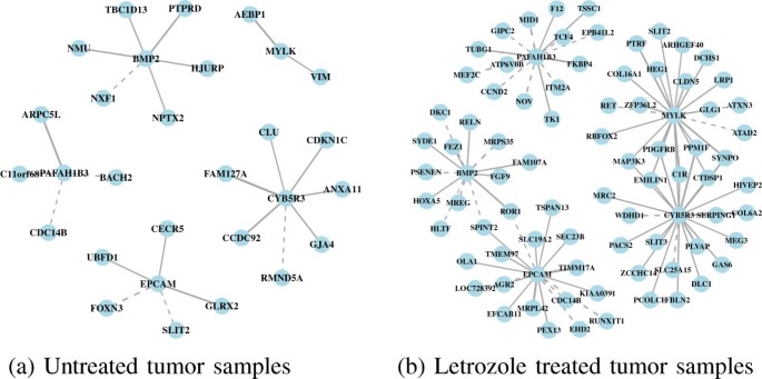 Predicting targeted drug combinations based on Pareto optimal patterns of coexpression network connectivity