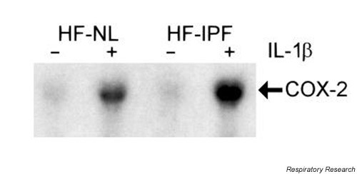 figure 4_166