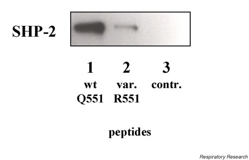 figure 1_174