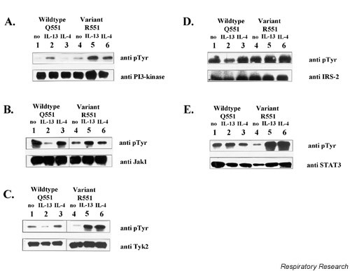 figure 3_174