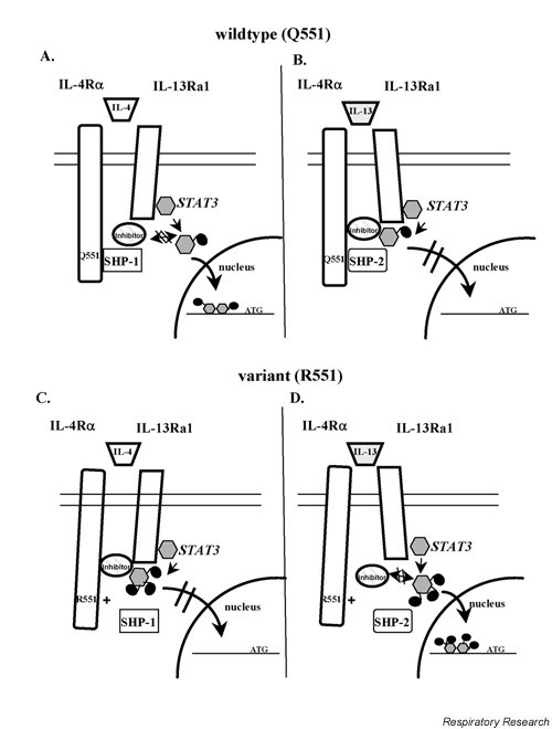 figure 5_174