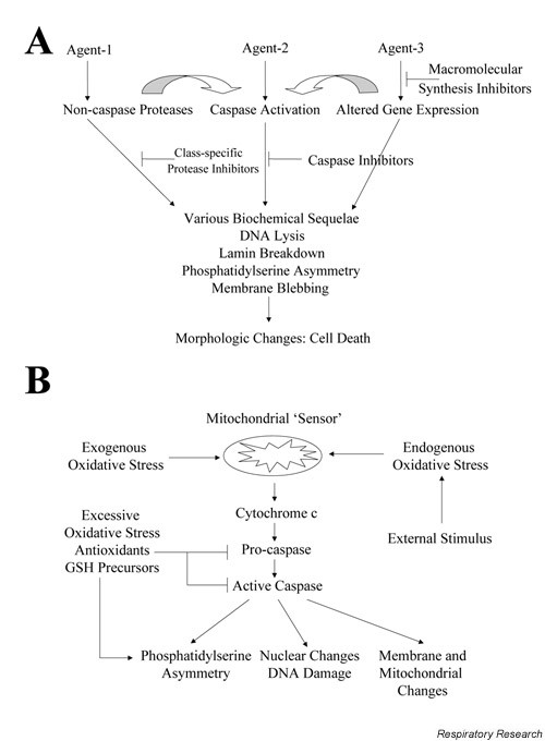 figure 10_190