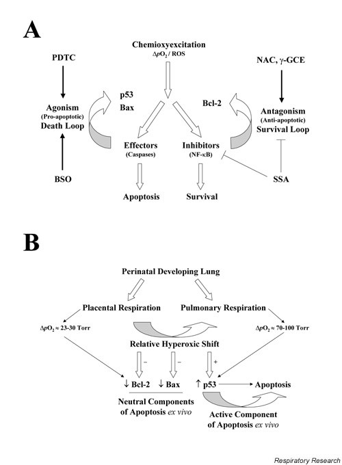 figure 11_190