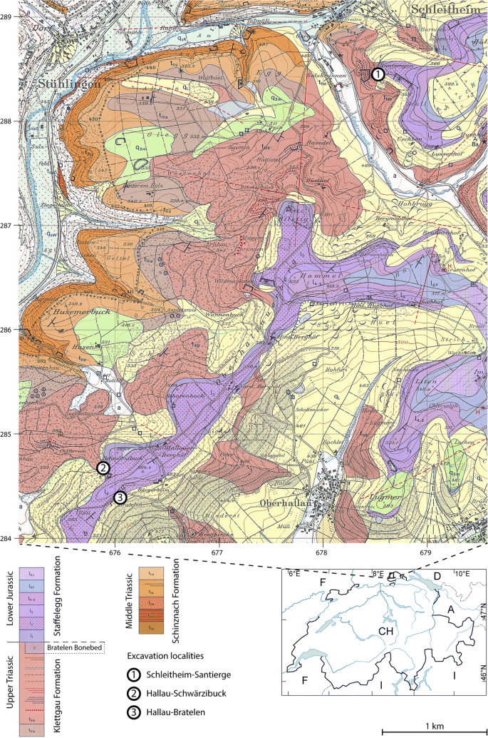 A derived sauropodiform dinosaur and other sauropodomorph material from the  Late Triassic of Canton Schaffhausen, Switzerland | Swiss Journal of  Geosciences | Full Text