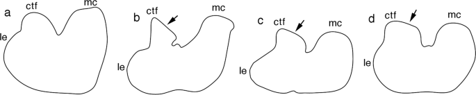 figure 20