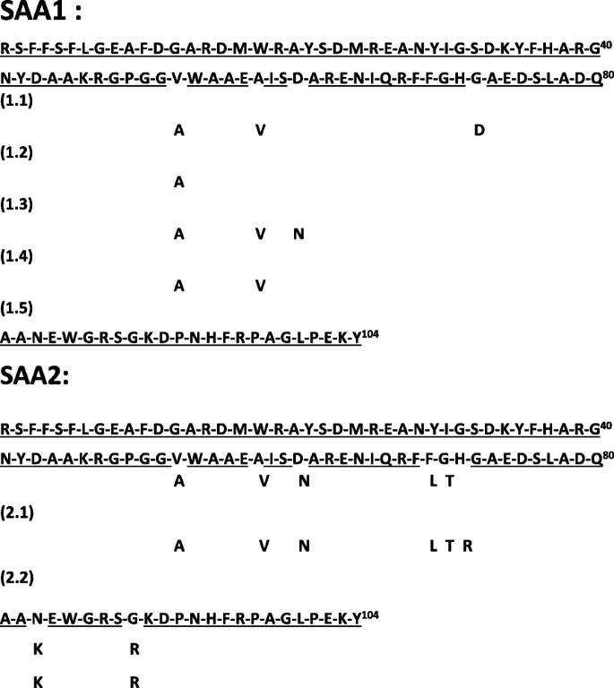 Serum Amyloid A A Review Molecular Medicine Full Text