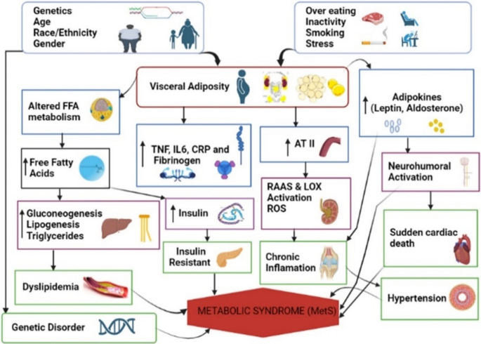 The interplay of factors in metabolic syndrome: understanding its roots and complexity | Molecular Medicine | Full Text