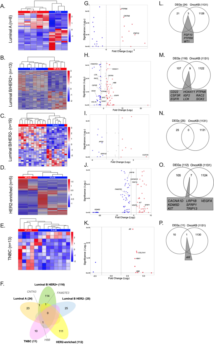 Identification of predictive pretreatment biomarkers for neoadjuvant ...