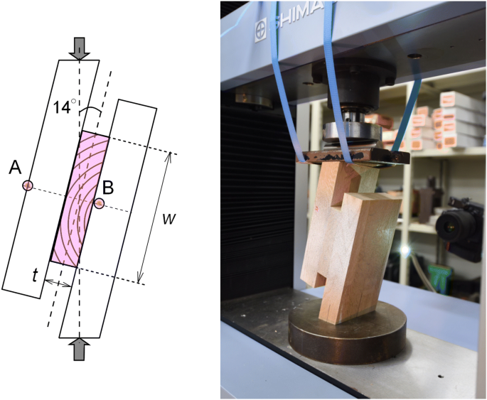 Out-of-plane shear strength of cross-laminated timber made of Japanese  Larch (Larix kaempferi) with various layups and spans, Journal of Wood  Science