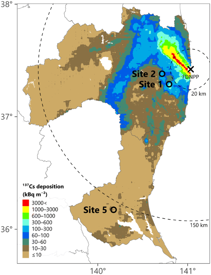 Tracing Radioactive Cesium In Stem Wood Of Three Japanese Conifer Species 3 Years After The Fukushima Dai Ichi Nuclear Power Plant Accident Journal Of Wood Science Full Text Tracing Radioactive Cesium In Stem Wood Of Three Japanese Conifer Species 3 Years After The Fukushima Dai Ichi Nuclear Power Plant Accident Journal Of Wood Science Full Text