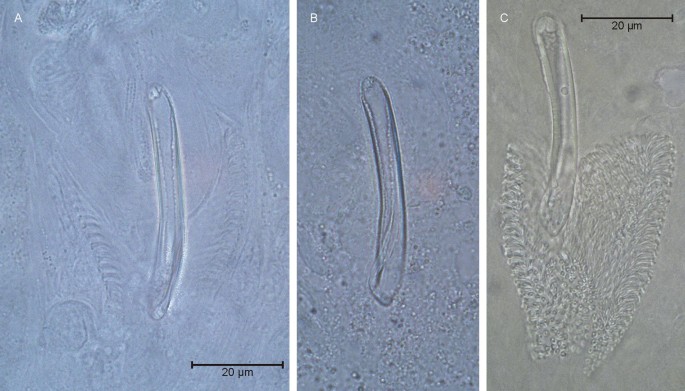 figure 16