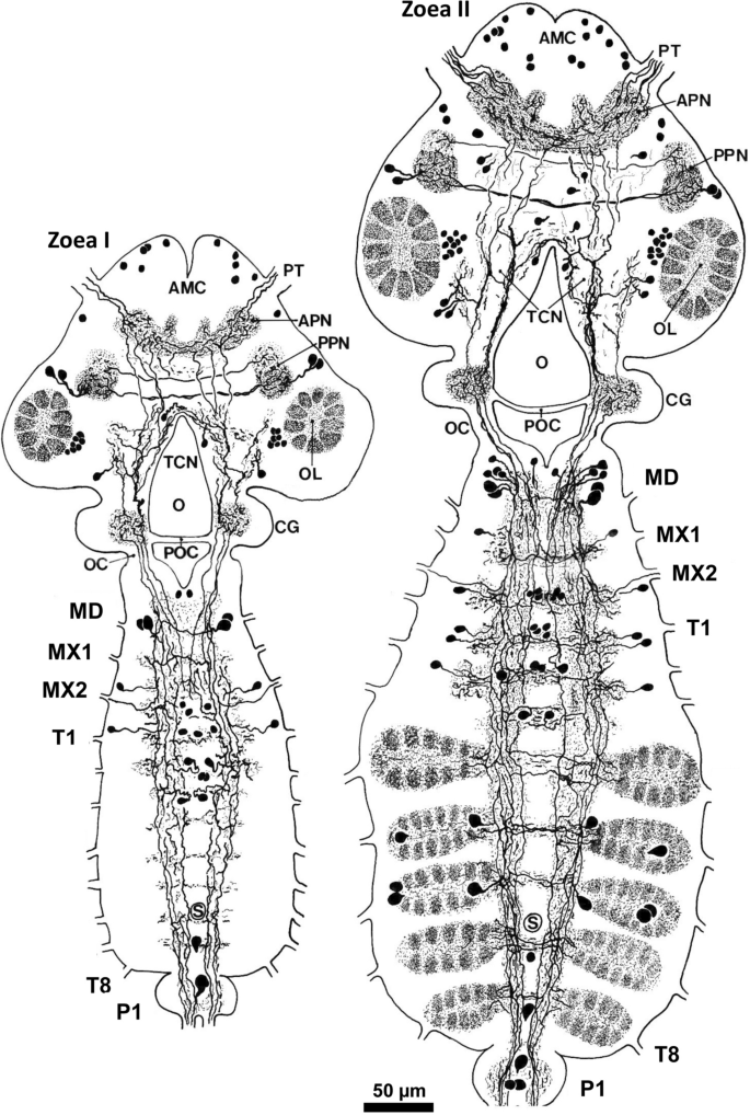 figure 16