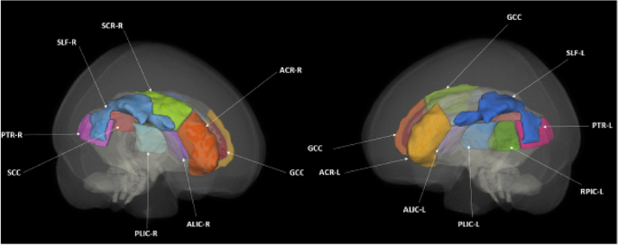 figure 110