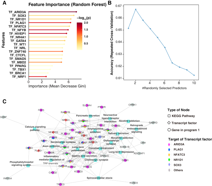 Machine learning-driven identification of critical gene programs and ...