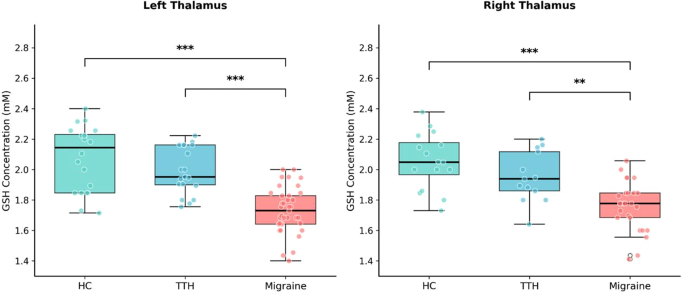 Reduced thalamic glutathione in migraine: a MEGA-PRESS spectroscopy study | The Journal of Headache and Pain