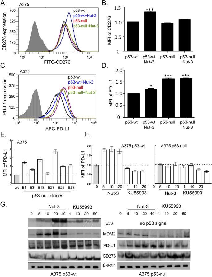 The Mdm2 Ligand Nutlin 3 Differentially Alters Expression Of The Immune Blockade Receptors Pd L1 And Cd276 Cellular Molecular Biology Letters Full Text