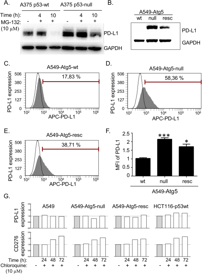 The Mdm2 Ligand Nutlin 3 Differentially Alters Expression Of The Immune Blockade Receptors Pd L1 And Cd276 Cellular Molecular Biology Letters Full Text