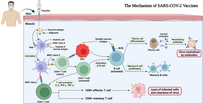 Vaccines, Free Full-Text