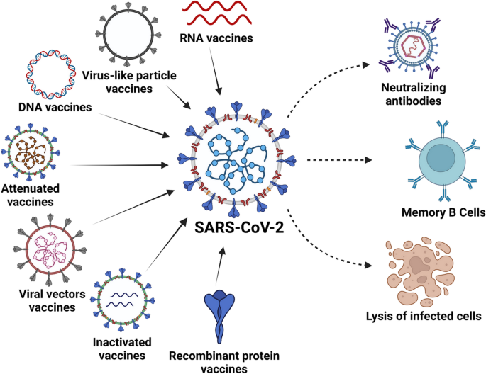 An overview of current drugs and prophylactic vaccines for coronavirus  disease 2019 (COVID-19) | Cellular & Molecular Biology Letters | Full Text