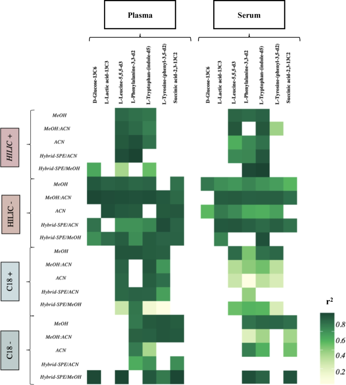 Creeper biology (a little art and study) : r/Minecraft