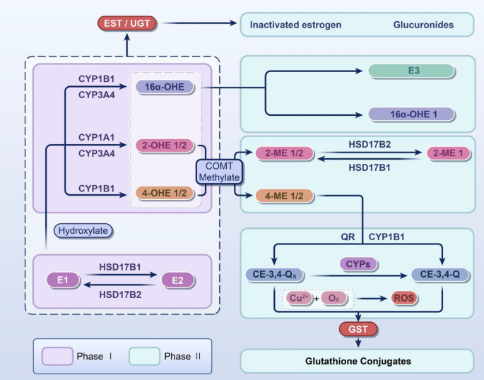 glutathione reductase assay procedure Schematic representation of glutathione reductase activity assay by