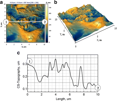 figure 11