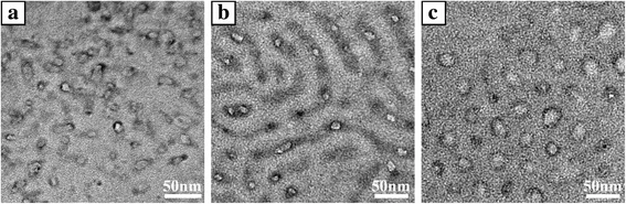 Rapid Fabrication of Ordered Nanopatterns in PS‑b‑P2VP‑b‑PEO Triblock Copolymers Using LiCl Salt in Toluene and Ultrasonic Treatment
