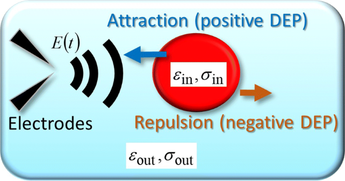 Frequency Modulated Wave Dielectrophoresis Of Vesicles And Cells Periodic U Turns At The Crossover Frequency Nanoscale Research Letters Full Text Frequency Modulated Wave Dielectrophoresis Of Vesicles And Cells Periodic U Turns At The Crossover Frequency Nanoscale Research Letters Full Text