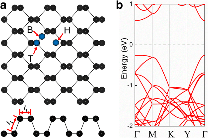 Adsorption of Transition Metals on Black Phosphorene: a First-Principles  Study | SpringerLink