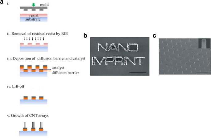 Carbon Nanotube Assembly And Integration For Applications Nanoscale Research Letters Full Text