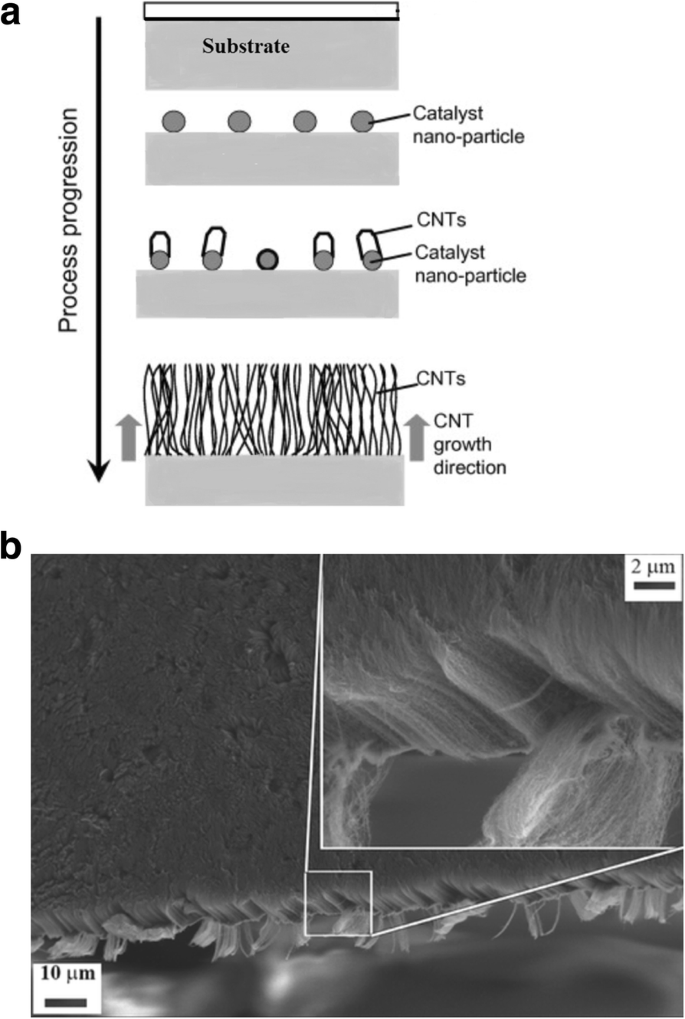 Carbon Nanotube Assembly And Integration For Applications Nanoscale Research Letters Full Text Carbon Nanotube Assembly And Integration For Applications Nanoscale Research Letters Full Text