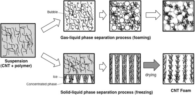 Carbon Nanotube Assembly And Integration For Applications Nanoscale Research Letters Full Text