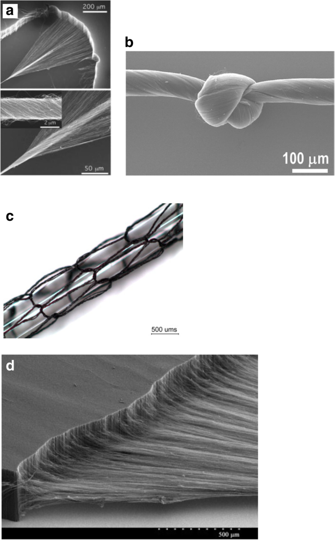 Carbon Nanotube Assembly And Integration For Applications Nanoscale Research Letters Full Text