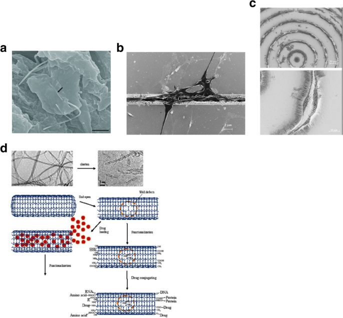 figure 45