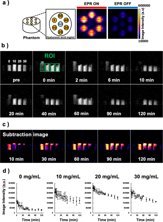 Development of a noninvasive redox imaging method that can stably ...