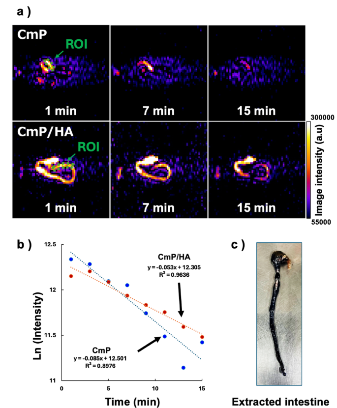 Development of a noninvasive redox imaging method that can stably ...