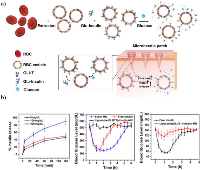 what is acg glutathione used for NRF2 supports non-small cell lung cancer growth independently of  CBP/p300-enhanced glutathione synthesis | EMBO Reports main image 1