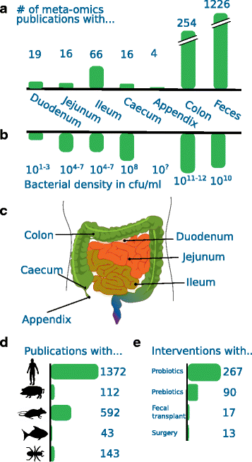 Studying Microbial Functionality Within The Gut Ecosystem By -