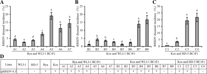 Identification of new rice cultivars and resistance loci against rice  black-streaked dwarf virus disease through genome-wide association study |  Rice | Full Text