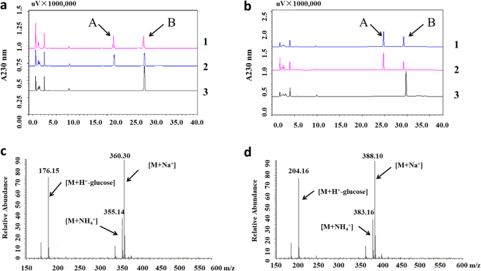 Osiagt1 Is A Glucosyltransferase Gene Involved In The Glucose Conjugation Of Auxins In Rice Rice Full Text