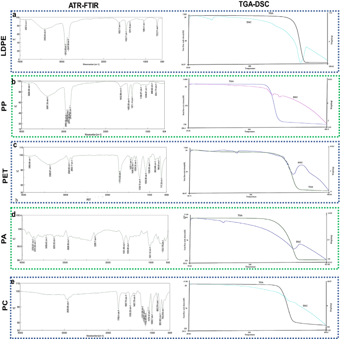 kinsey scale test for virgins kinsey scale test for virgins