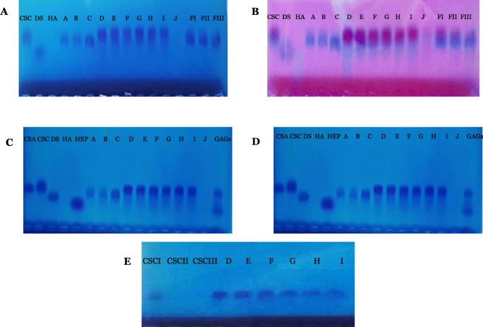 Glycosaminoglycans from Co-Products of « Scyliorhinus canicula ... Glycosaminoglycans from Co-Products of « Scyliorhinus canicula ...