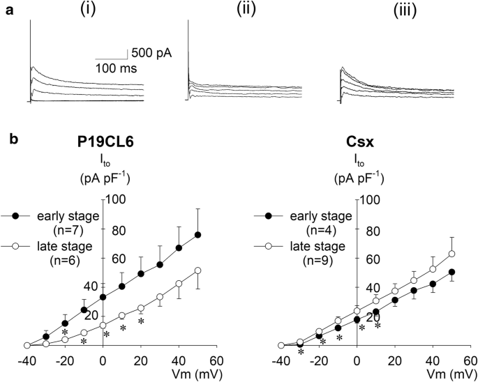 Cardiac Specific Transcription Factor Csx Nkx2 5 Regulates Transient Outward K Channel Expression In Pluripotent P19 Cell Derived Cardiomyocytes The Journal Of Physiological Sciences Full Text