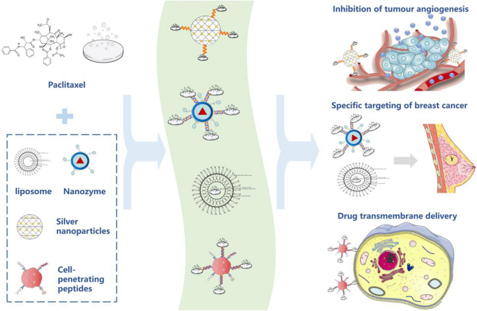 research paper on cancer biotechnology figure 6