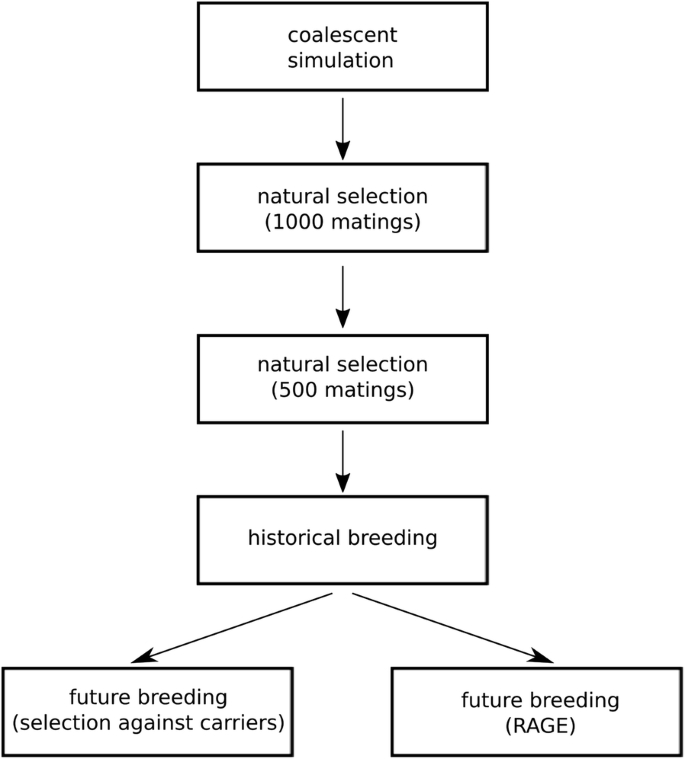 Removal of alleles by genome editing (RAGE) against deleterious load |  Genetics Selection Evolution | Full Text