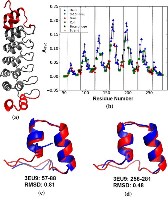 Identifying tandem Ankyrin repeats in protein structures | BMC  Bioinformatics | Full Text