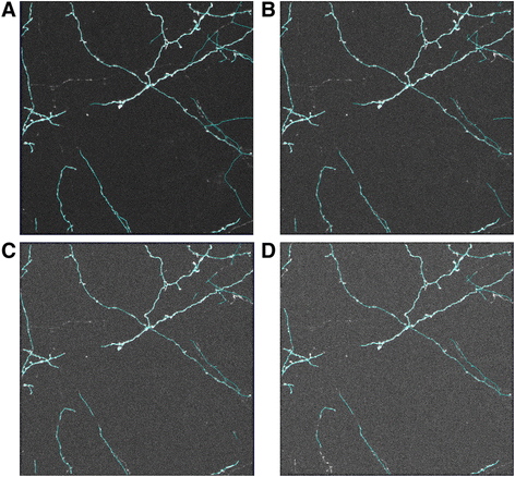 figure 15