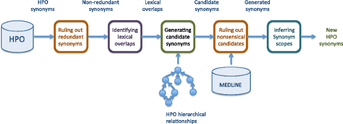 A new synonym-substitution method to enrich the human phenotype