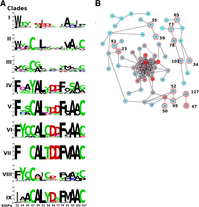 Molecular dynamics and structure function analysis show that 